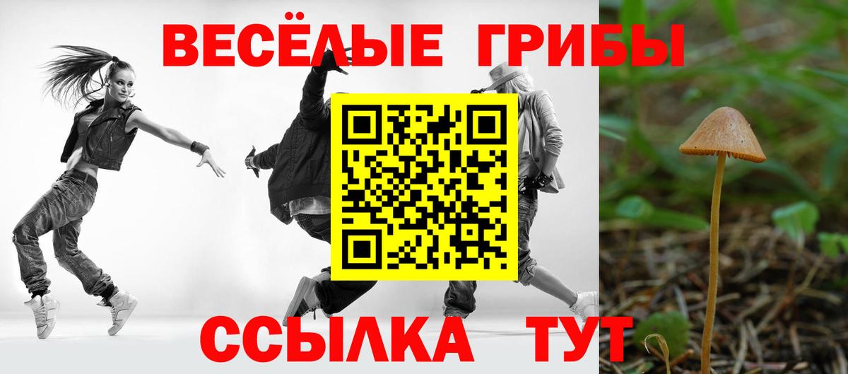 Галлюциногенные грибы мицелий  Псилоцибиновые грибы прущие грибы  Новый Уренгой  Вход с VPN 